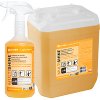 SANIT SHINE 10L-PIANKA CZYSZCZ�CA I ODKAMIENIAJ�CA